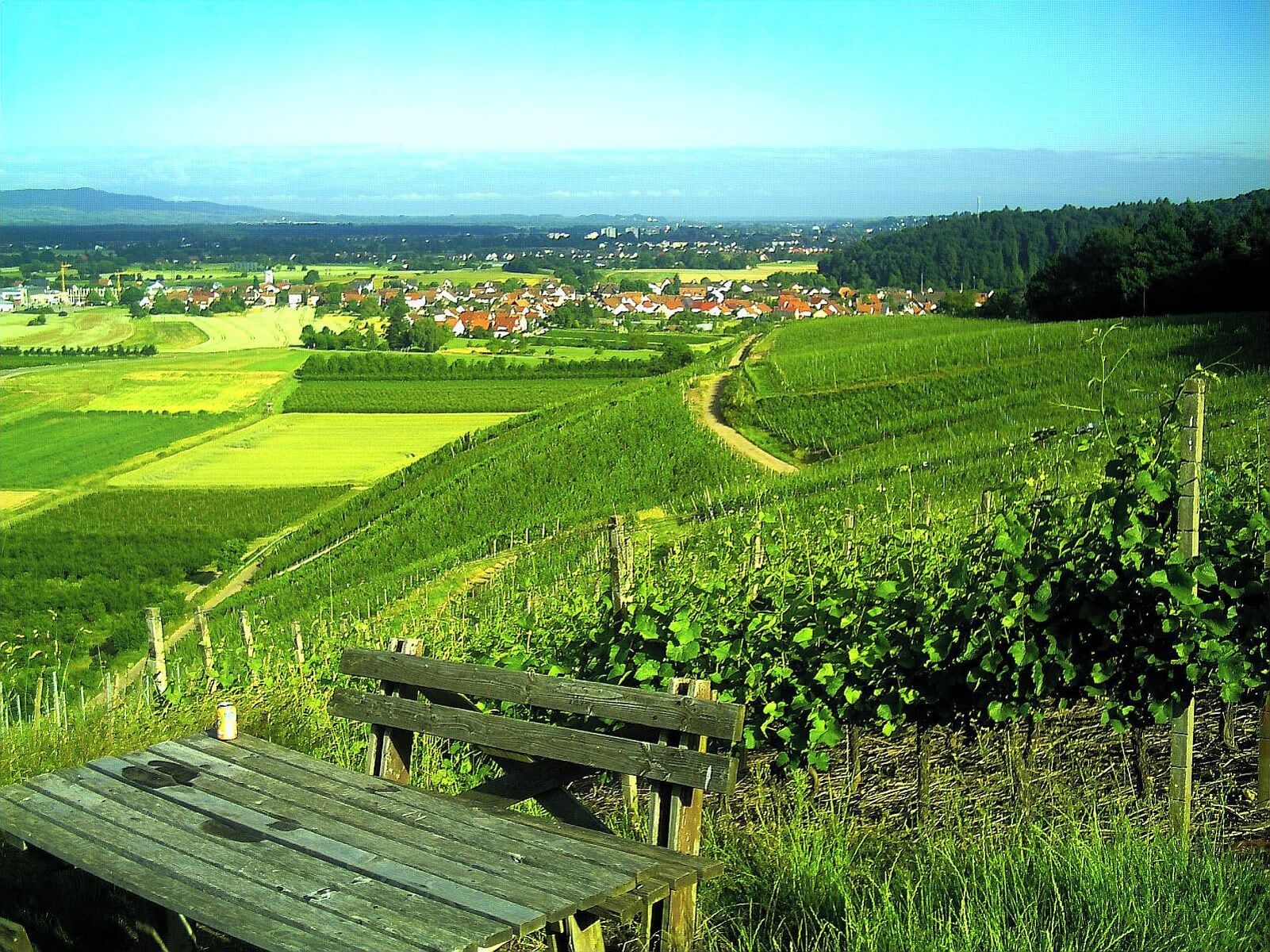 Buchholz Batzenhäusle - Blick nach Sexau