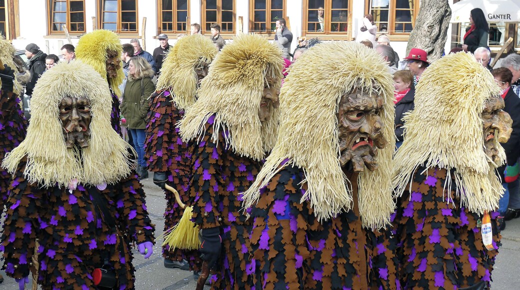 Die Wurzelgeister Freiamt beim Umzug der Narrenzunft Möslegeister Buchholz e.V. am 19. Februar 2017