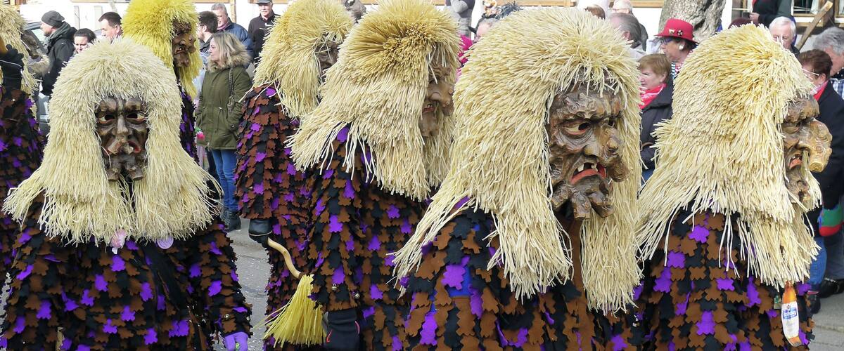 Die Wurzelgeister Freiamt beim Umzug der Narrenzunft Möslegeister Buchholz e.V. am 19. Februar 2017