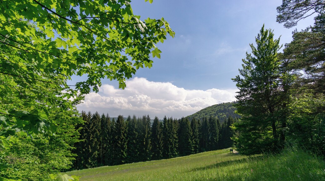 Naturschutzgebiet Irrenberg-Hundsrücken (NSG-Nummer 4.303)