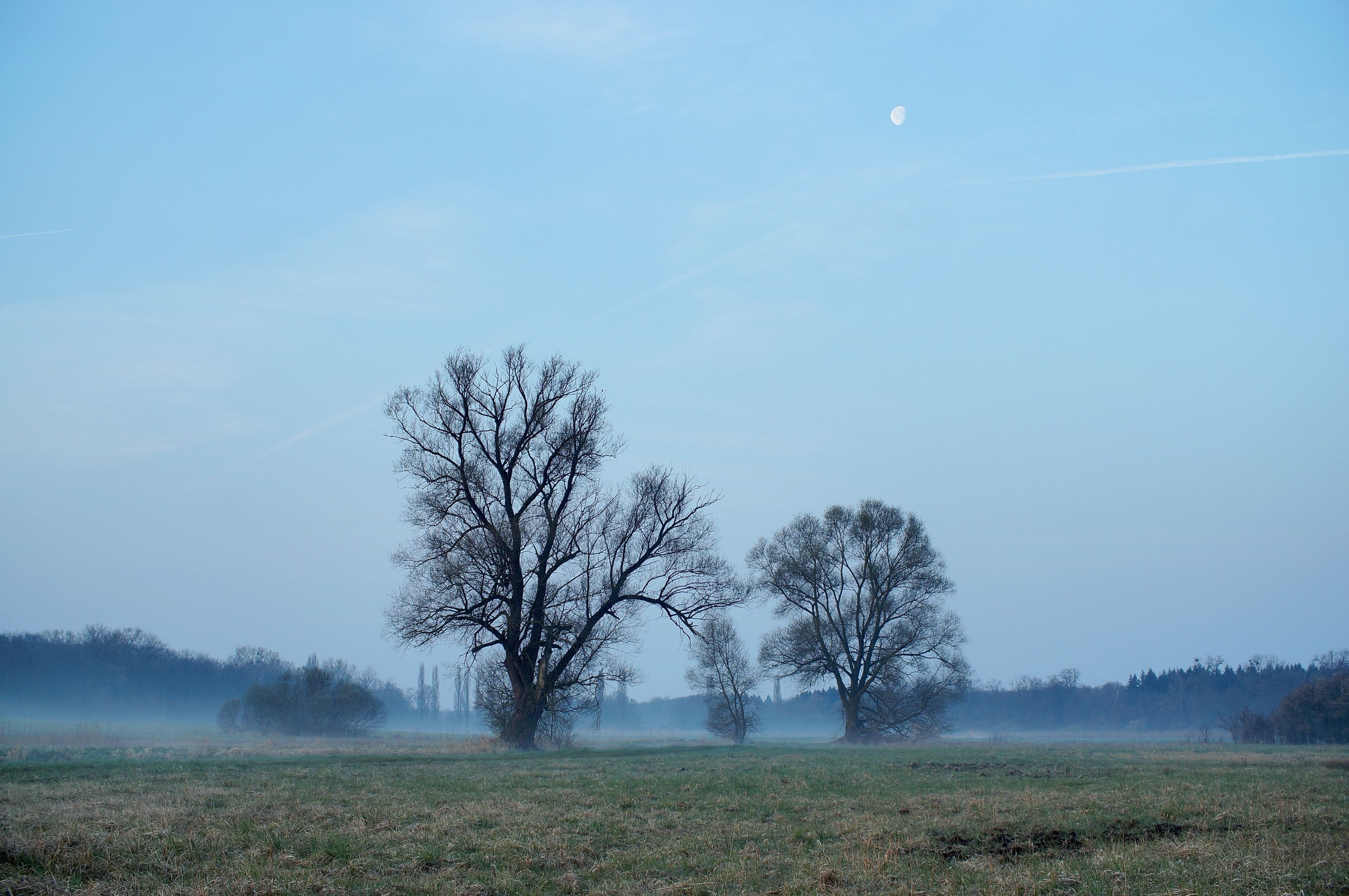 Naturschutzgebiet Hochholz-Kapellenbruch (NSG 2.143)