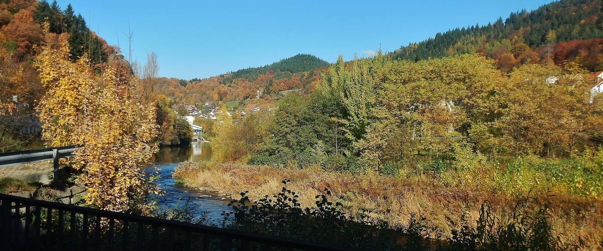 A river flowing through a forested valley with autumn foliage, surrounded by hills and houses in the background.