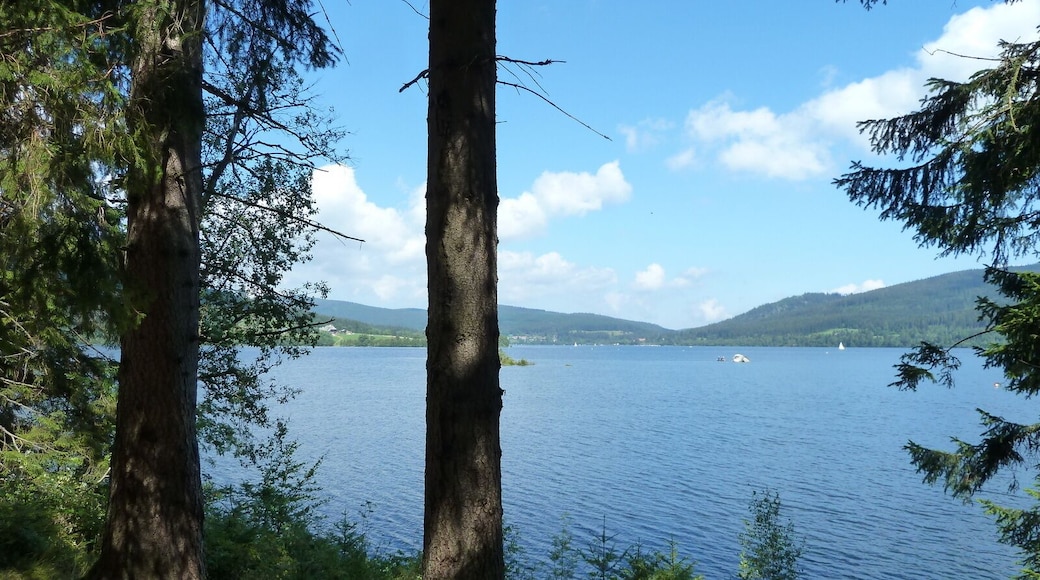 Seeweg, Schluchsee, Germany