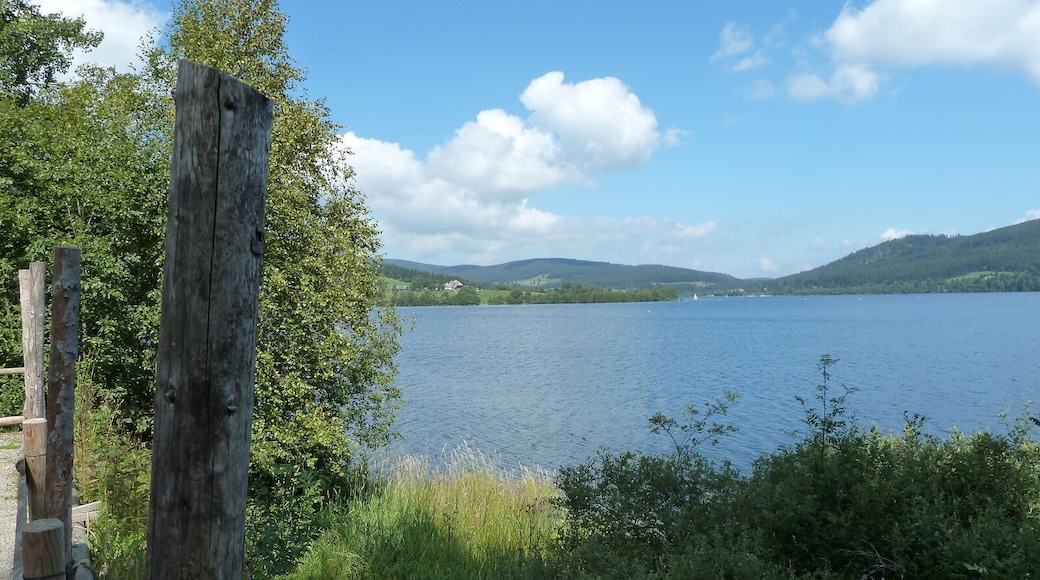 Blick auf Unterkrummen, Schluchsee, Germany