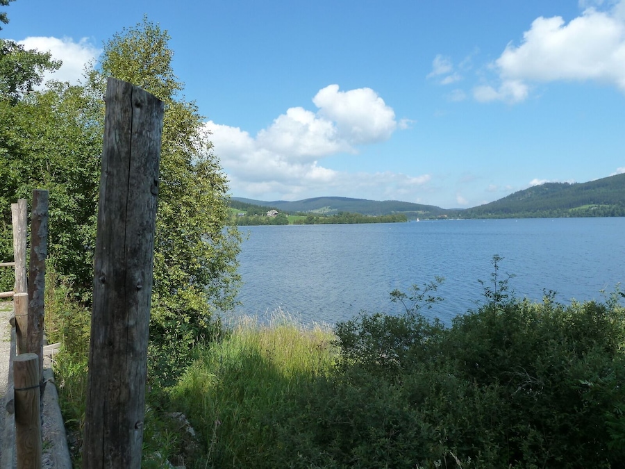 Ein See mit einem Holenzaun im Vordergrund, umgeben von Grünpflanzen und Hügeln im Hintergrund.