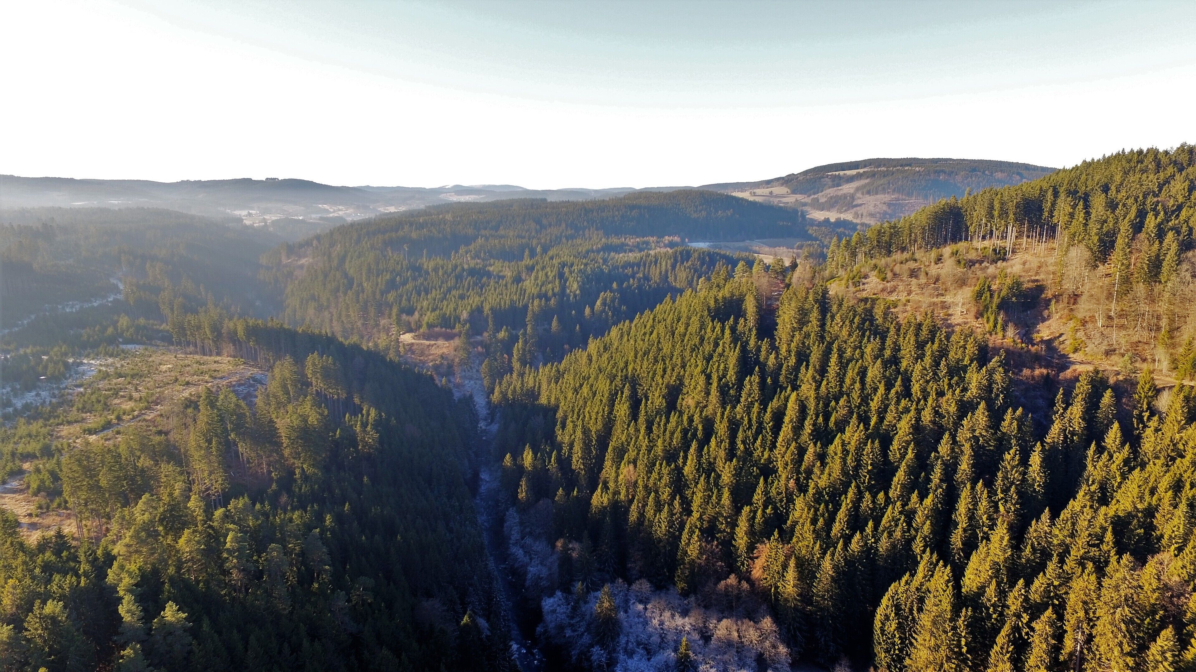 A forested valley with dense tree coverage and distant hills.