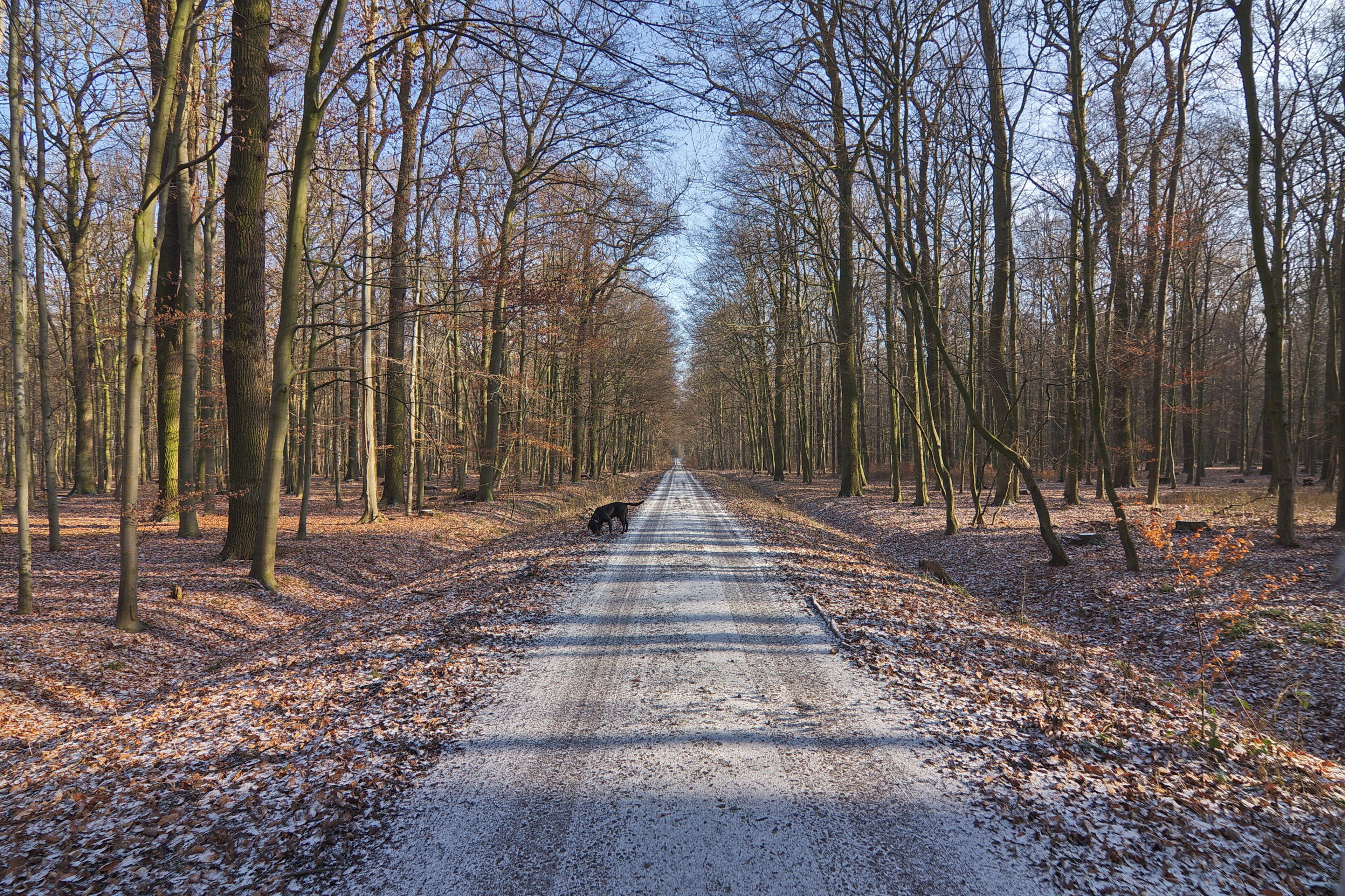 Münstedt (Ilsede), Niedersachsen, Deutschland