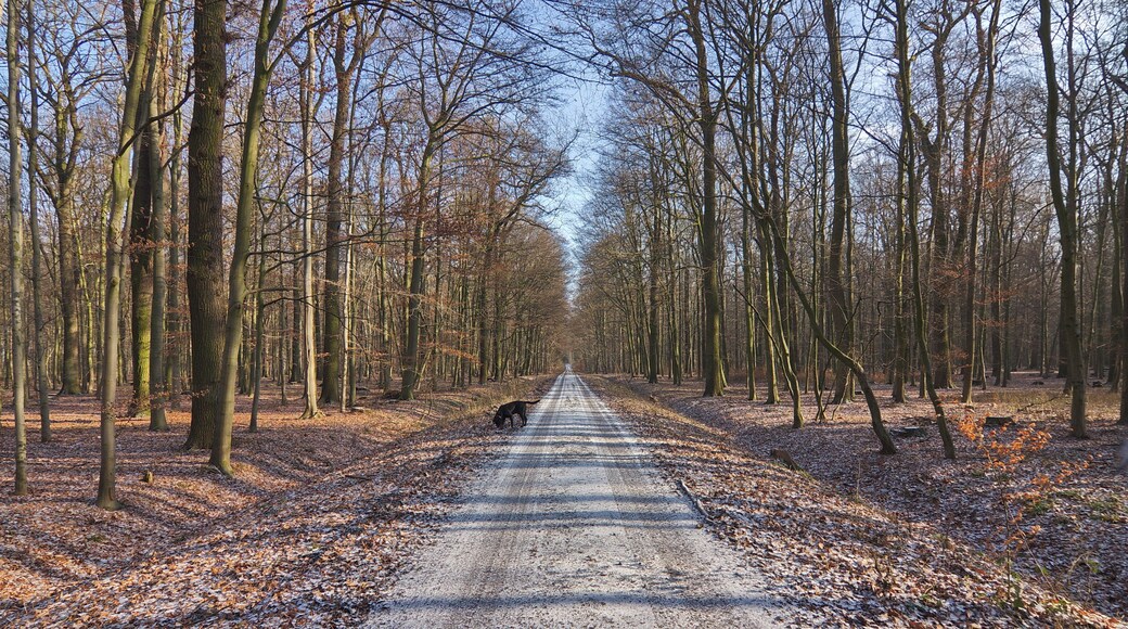 Münstedt (Ilsede), Niedersachsen, Deutschland