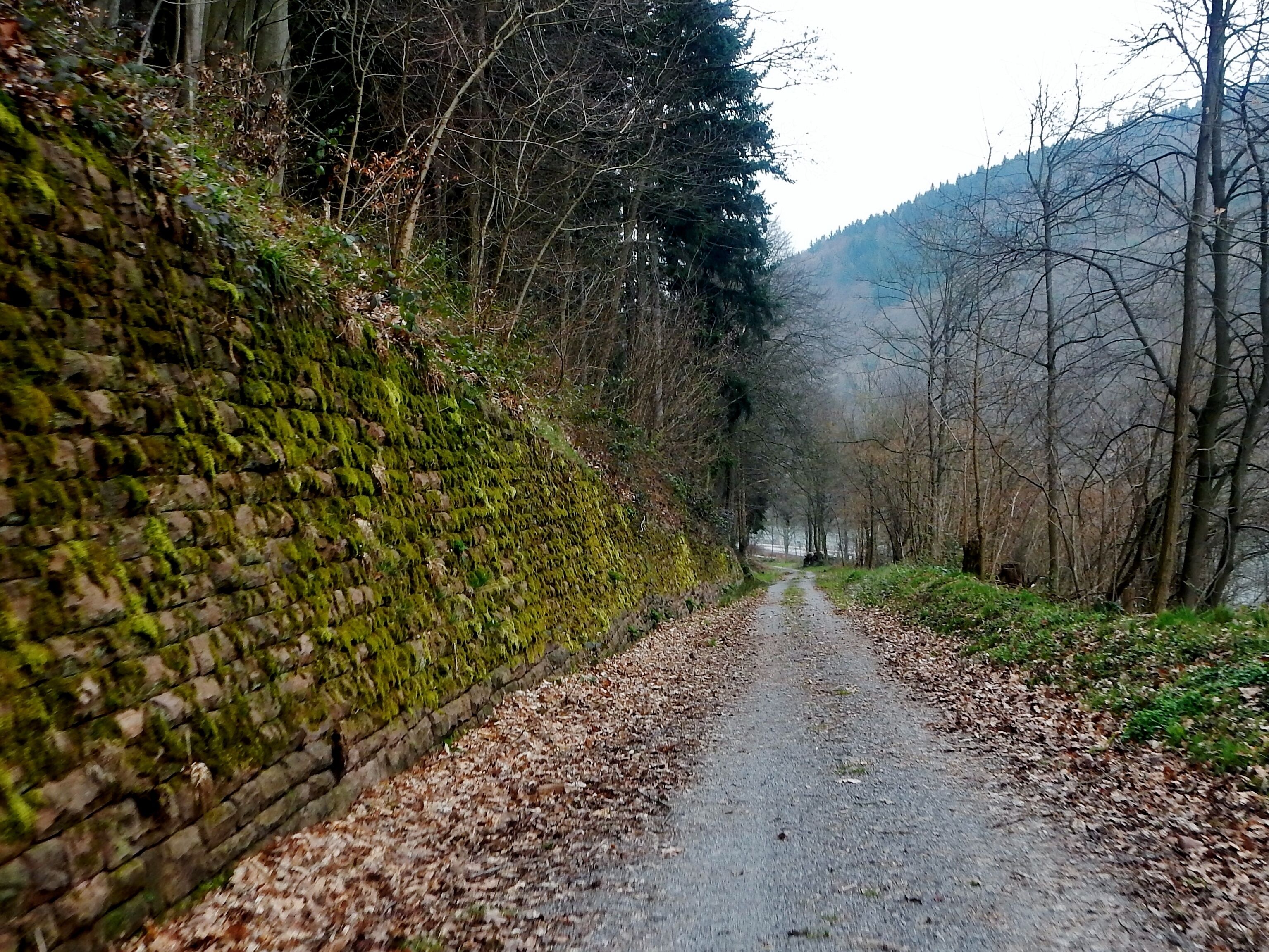 Der 366 km langen Neckartalradweg