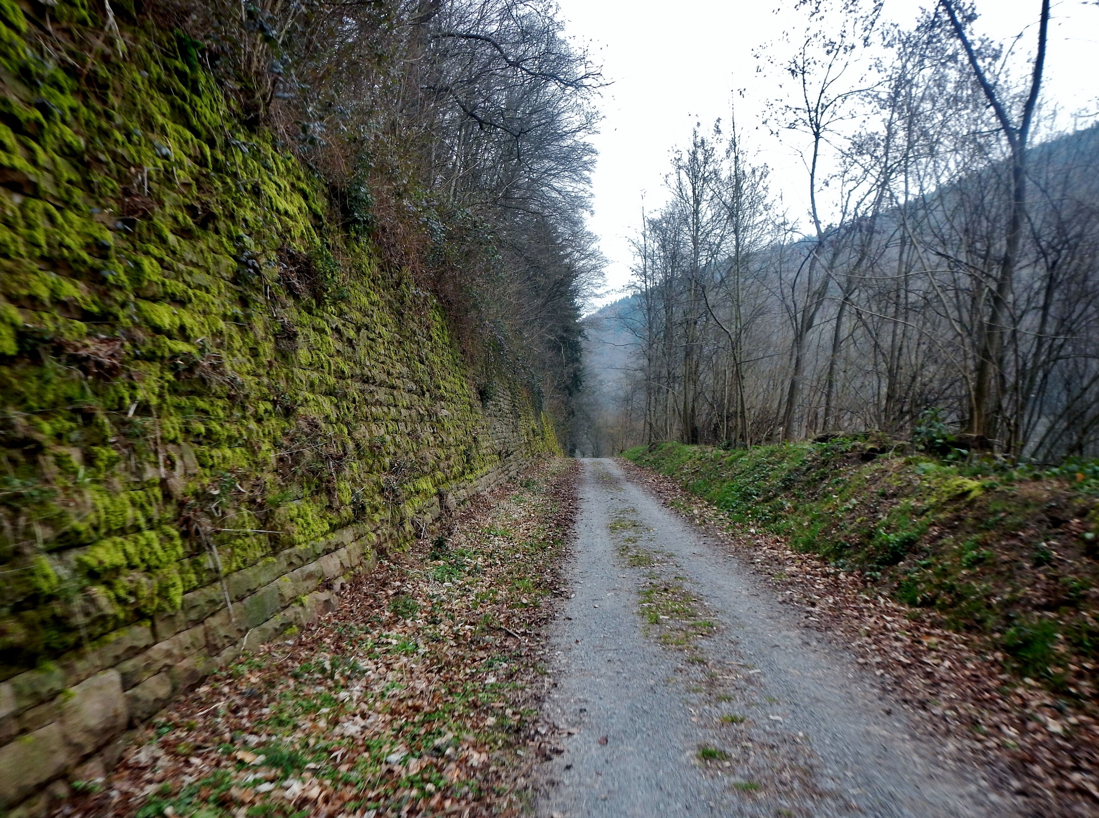 Der 366 km langen Neckartalradweg
