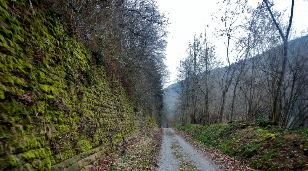 Der 366 km langen Neckartalradweg