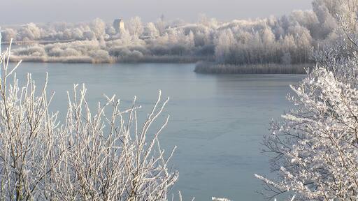 Rauhreif am Auflandeteich