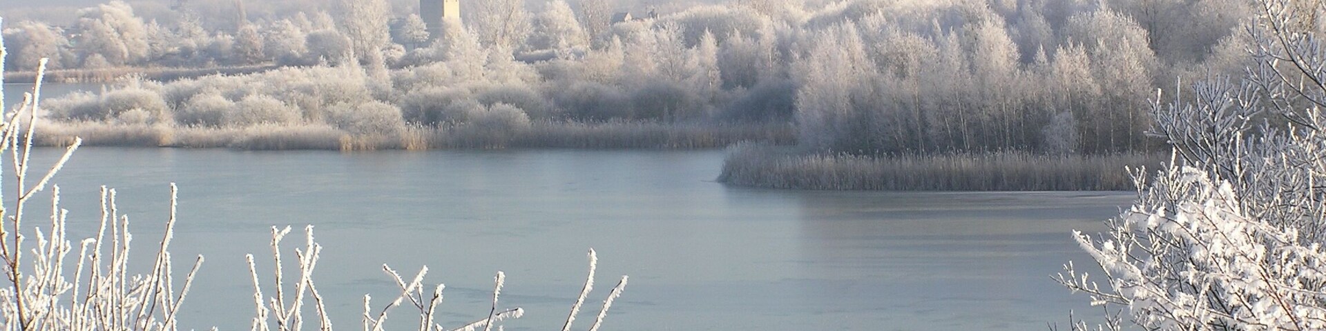 Rauhreif am Auflandeteich