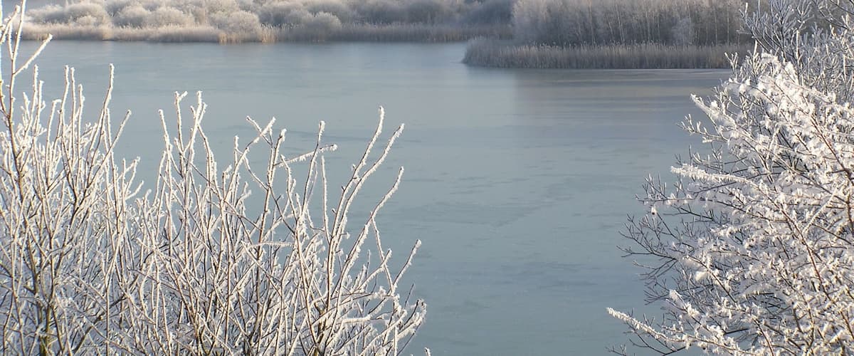 A frozen river with trees covered in frost.