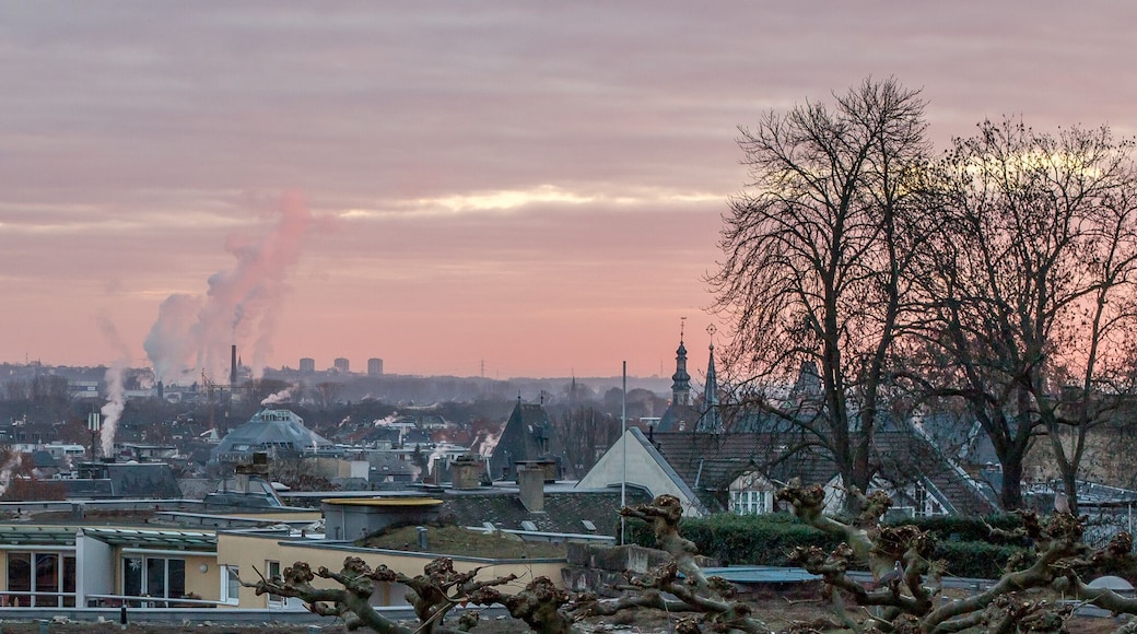 Hartenberg-Münchfeld