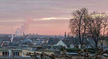 Blick vom Kästrich aus über die Dächer von Mainz am frühen Morgen im Sonnenaufgang