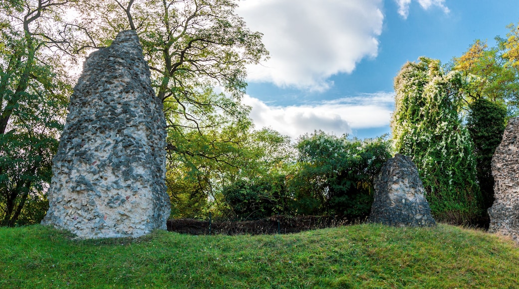 ๋ธ๋ ์ฒธํ์