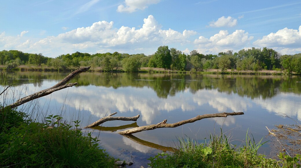 This is a picture of the protected area listed at WDPA under the ID