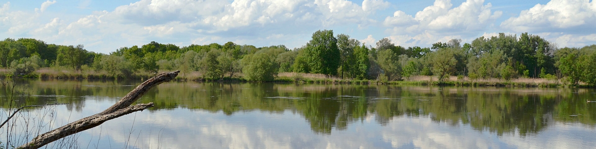 This is a picture of the protected area listed at WDPA under the ID