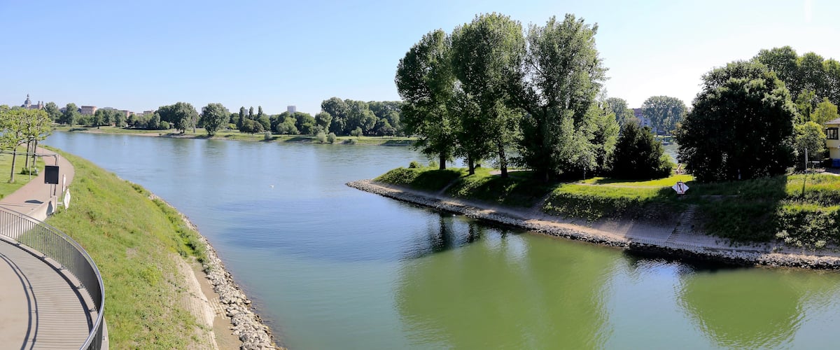 Ein Fluss mit einem gepflasterten Uferweg, umgeben von Bäumen und einem Gebäude in der Ferne.