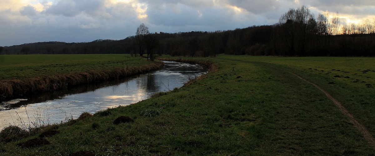 A river meandering through a grassy field with a forest in the background and a cloudy sky.