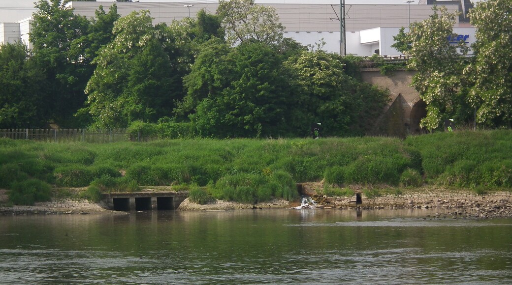 Tiefer Elbstolln, Abfluss in die Elbe bei einem Pegelstand von 86 cm (Pegel Dresden, 10:00 Uhr, 2015-05-28)