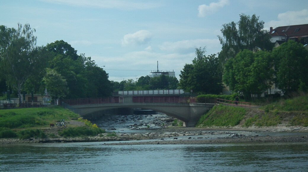 Mündung der Weißeritz in die Elbe bei einem Pegelstand von 86 cm (Pegel der Elbe in Dresden, 10:00 Uhr, 2015-05-28)