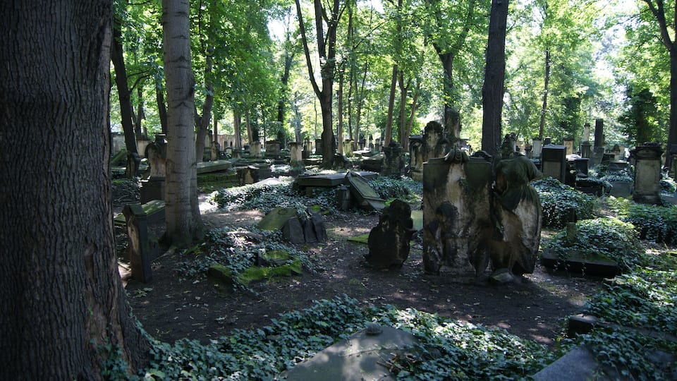 Un cimetière avec de nombreuses pierres tombales et des monuments funéraires, entouré d’arbres et de verdure.