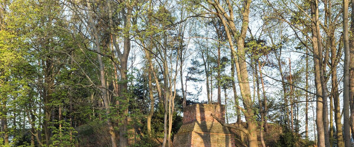 A forested area with a stone building partially obscured by trees.