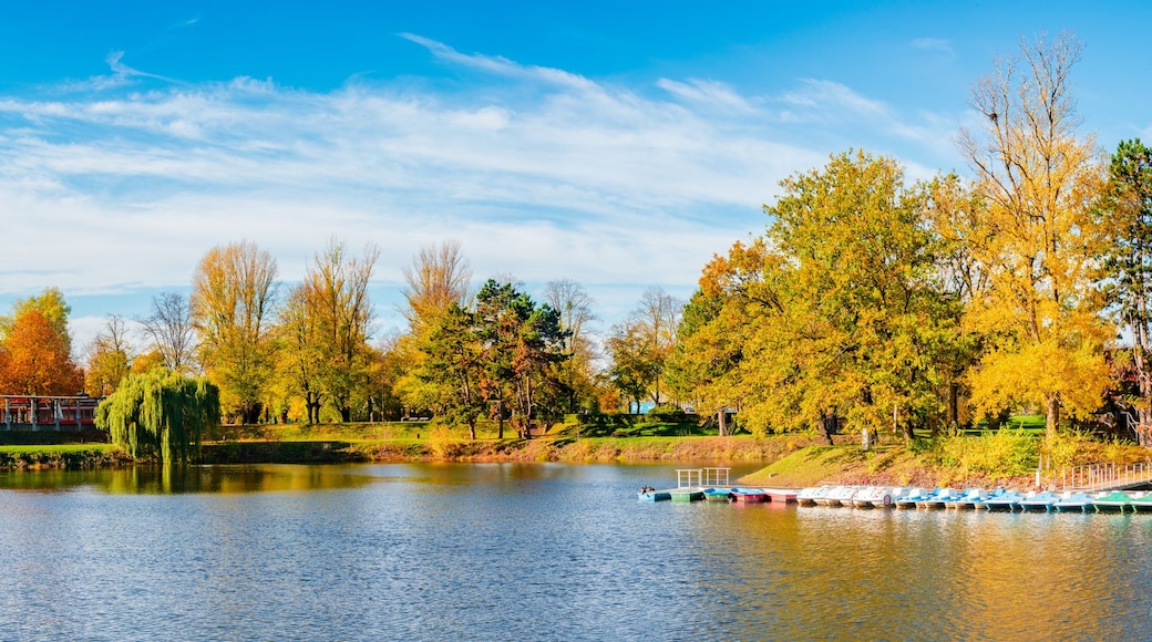 A lake with boats, autumn trees, a park with a gazebo, and a Ferris wheel.