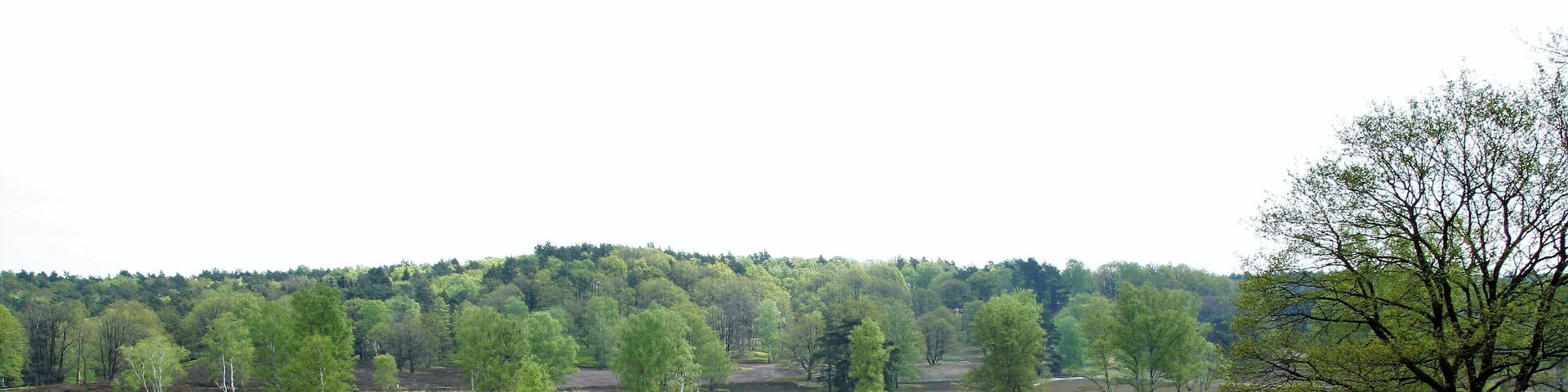 Schotterweg im Naturschutzgebiet „Fischbeker Heide“ in Hamburg
