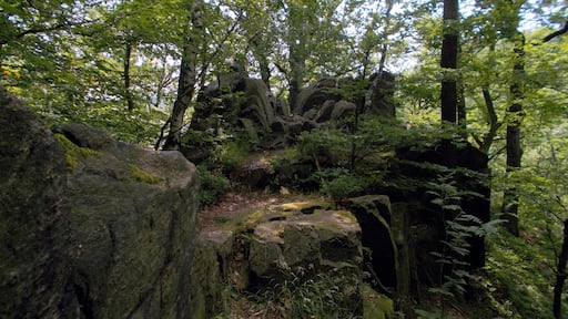 Teufelskanzel in der Somsdorfer Klamm im Rabenauer Grund