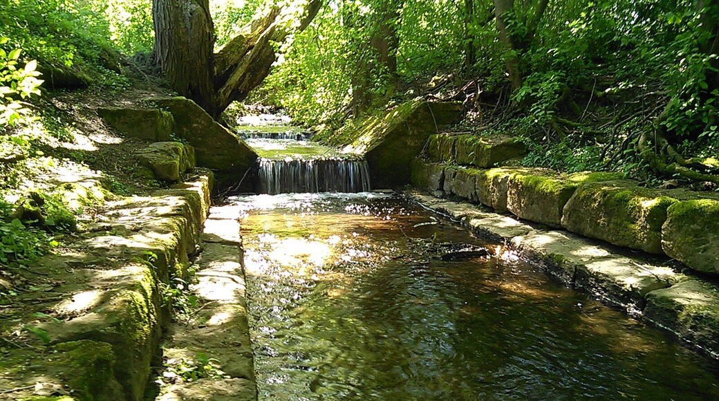 Der Feuerbach im Feuerbacher Tal in Feuerbach.