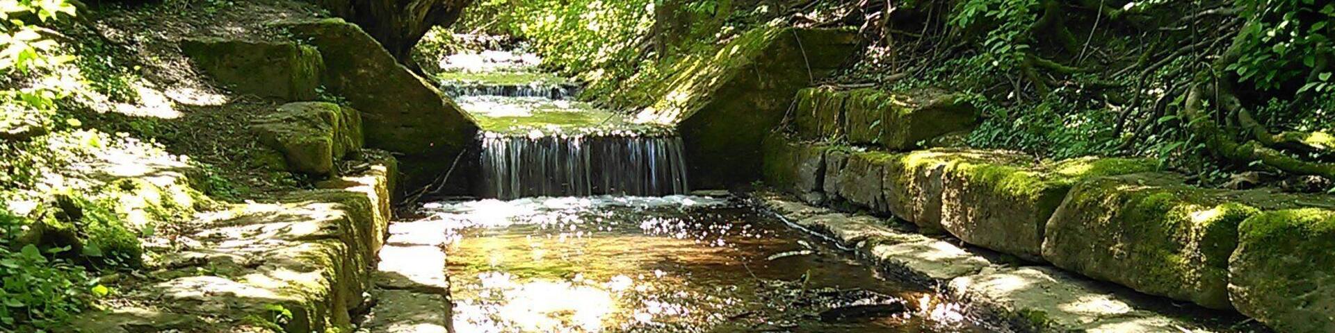 Der Feuerbach im Feuerbacher Tal in Feuerbach.