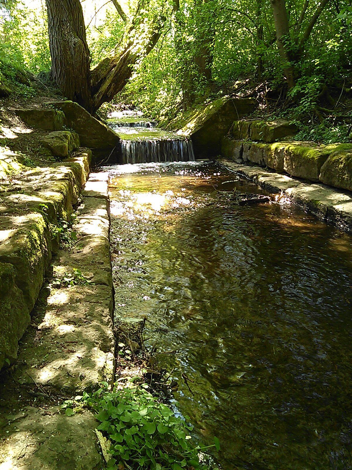 Der Feuerbach im Feuerbacher Tal in Feuerbach.