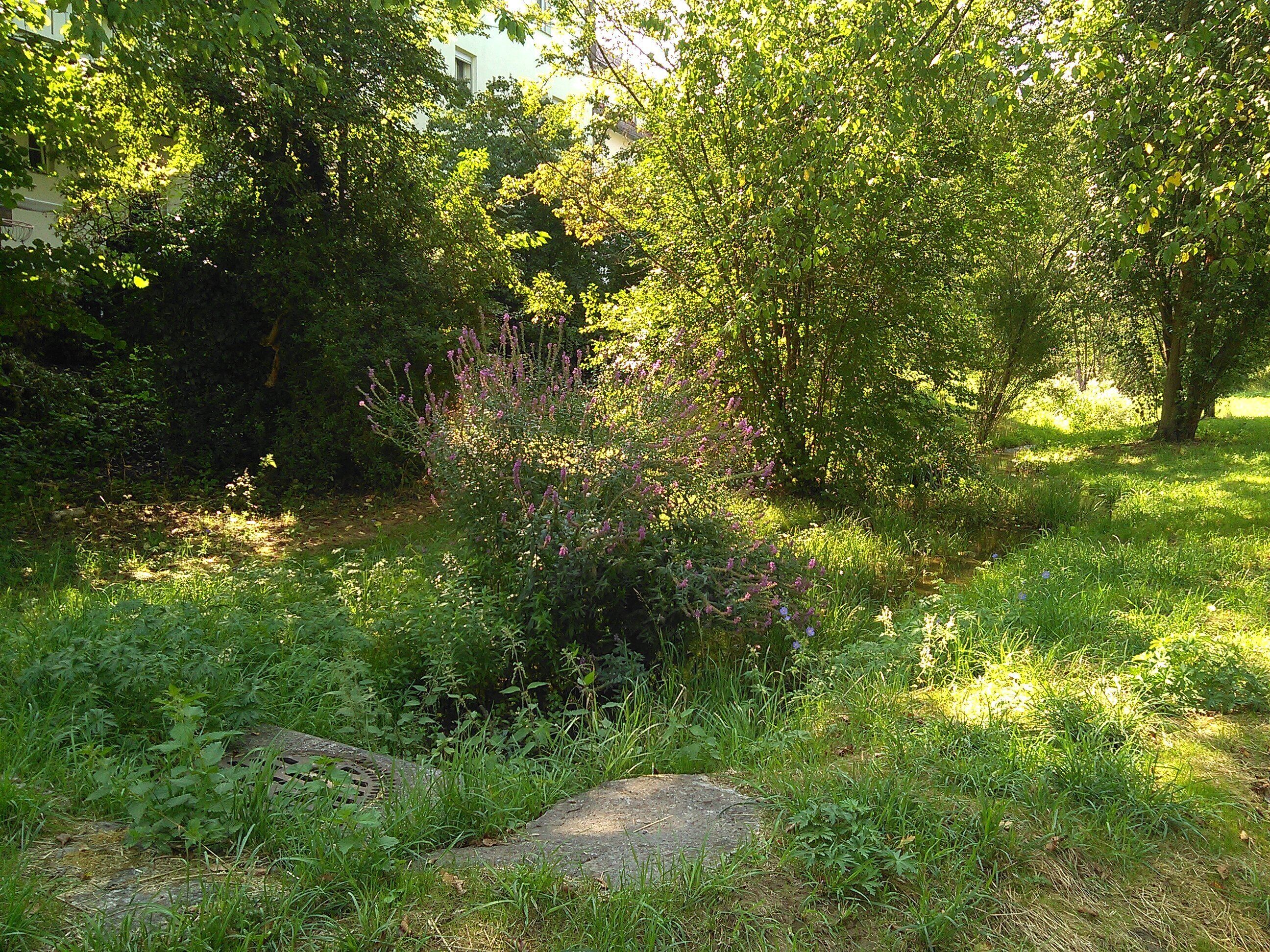 Der Feuerbach vor dem Zentrum von Feuerbach am Ende der Helmstettstraße.