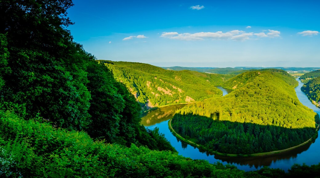 Een rivier die door een vallei slingert, omgeven door dichte bossen en heuvels.