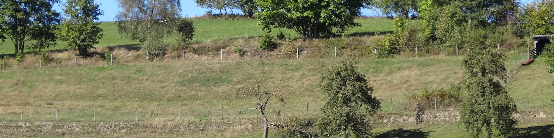 Slope in Reichenbach (Schmalkalden), Thuringia, Germany