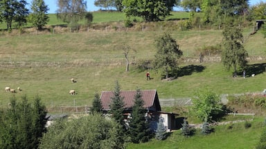 Slope in Reichenbach (Schmalkalden), Thuringia, Germany
