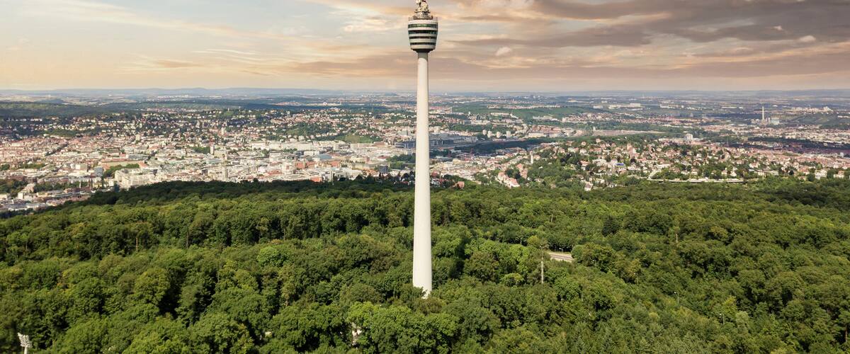 Ein Turm mit einer Turmspitze, umgeben von dichtem Wald und einer Stadtlandschaft im Hintergrund.