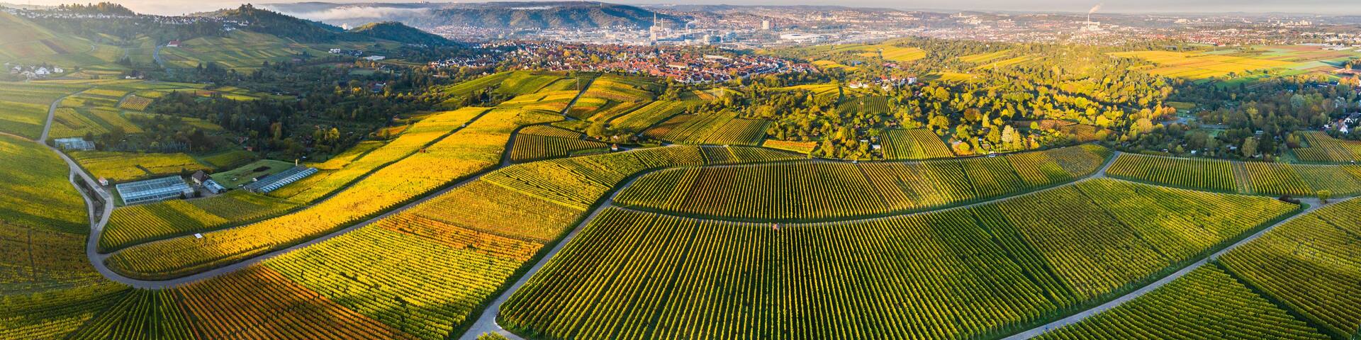 Germany, Baden-Wurttemberg, Stuttgart, Aerial panorama of vast countryside vineyards in autumn