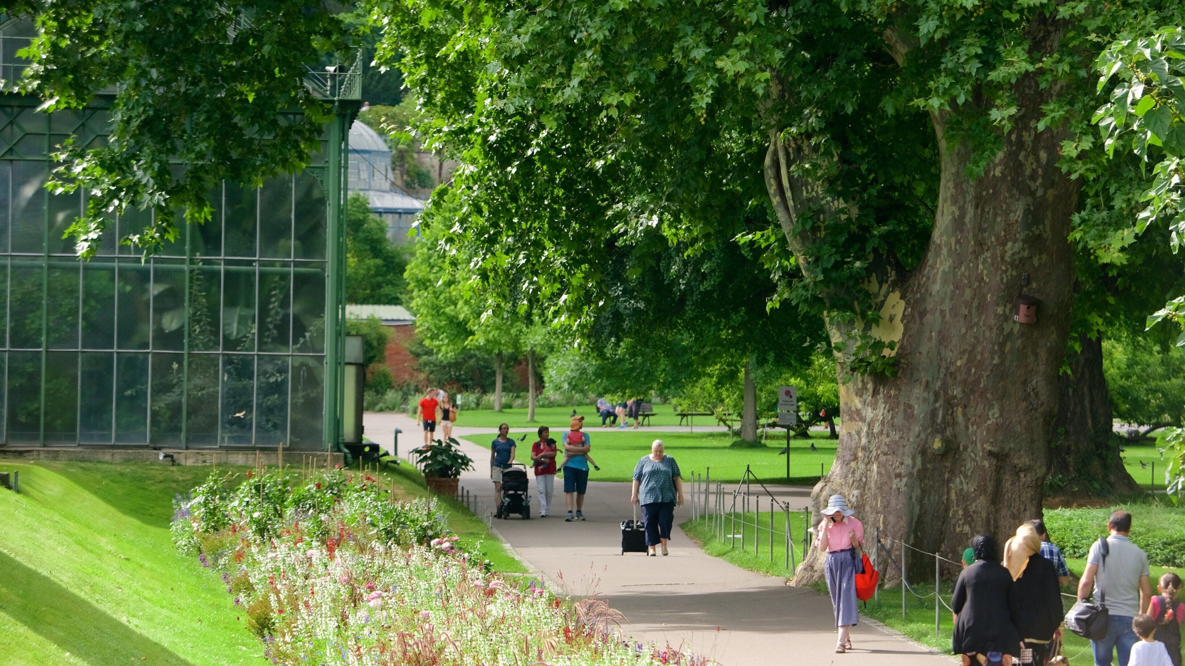 Neckarvorstadt which includes a garden and wildflowers