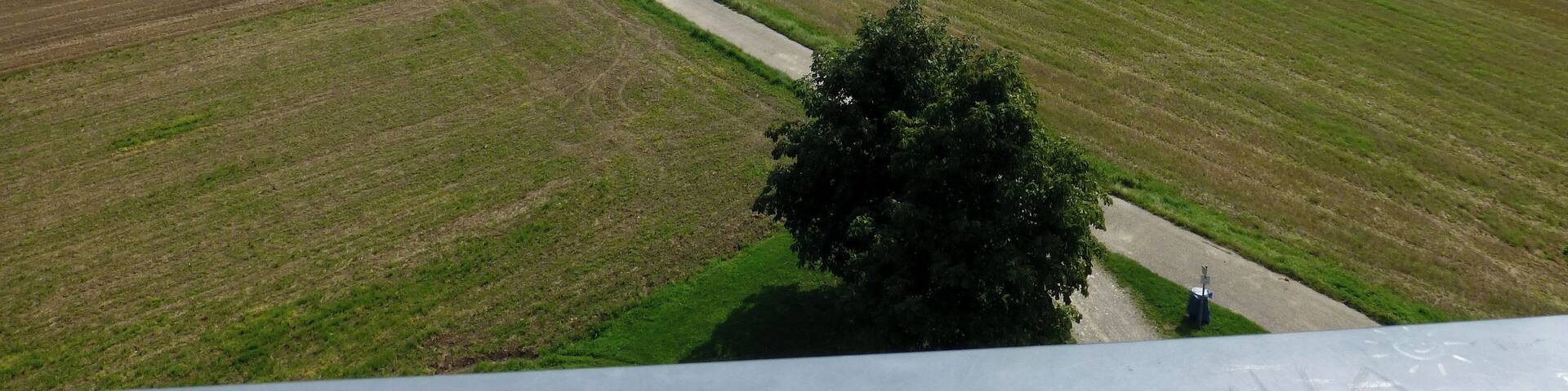 Blick vom Bismarckturm in Richtung Augsburg