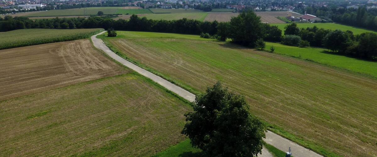A rural landscape with fields, a winding road, and a distant city skyline.