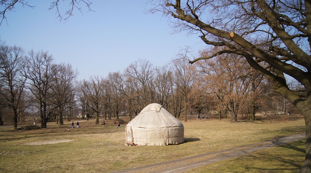 Yurt used for read out from books in Park "Volkspark Potsdam" in Potsdam, Brandenburg, Germany