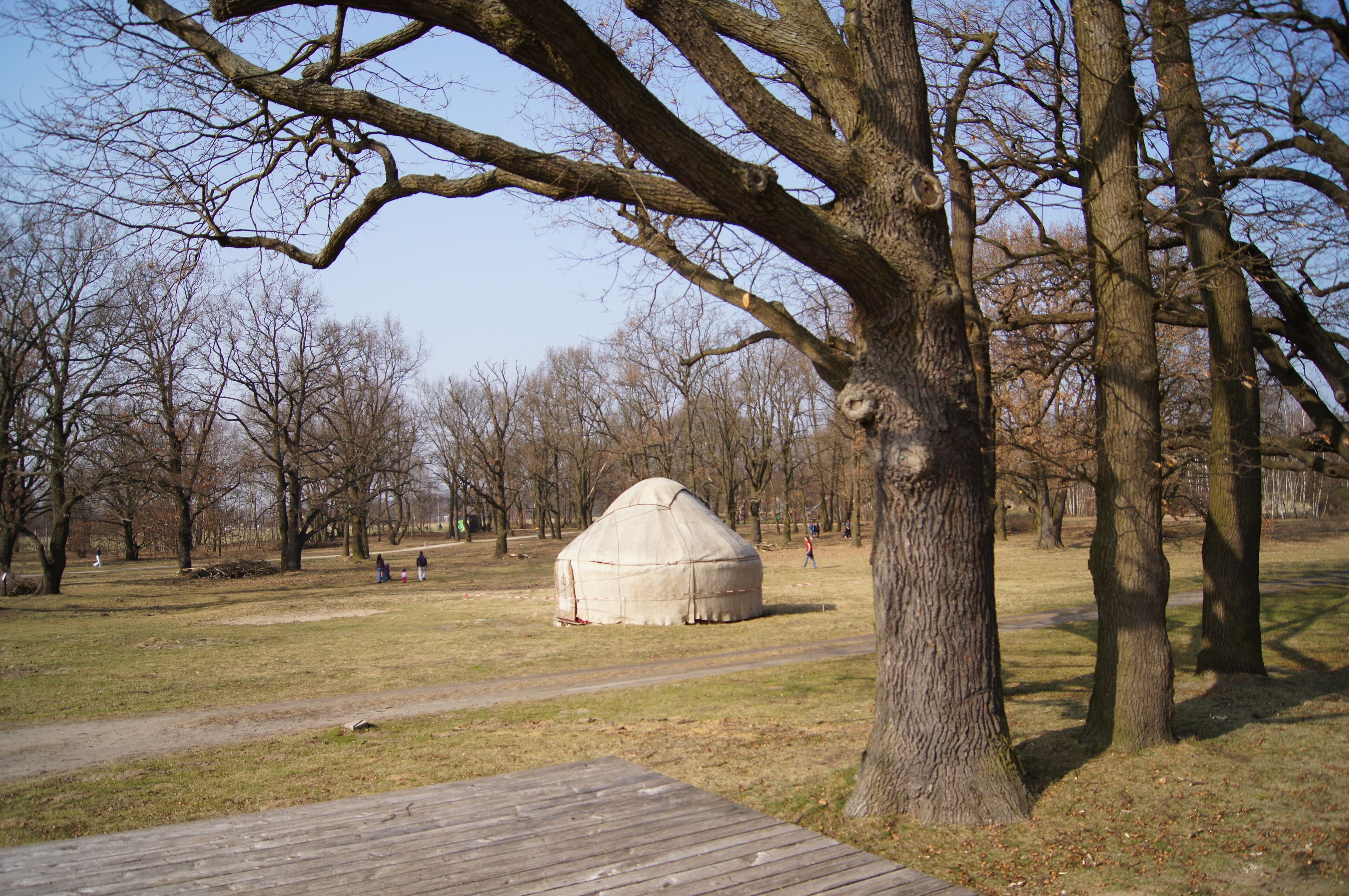 Yurt used for read out from books in Park "Volkspark Potsdam" in Potsdam, Brandenburg, Germany