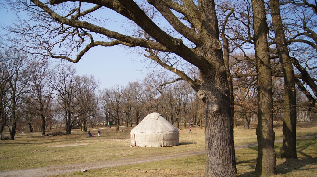 Yurt used for read out from books in Park "Volkspark Potsdam" in Potsdam, Brandenburg, Germany