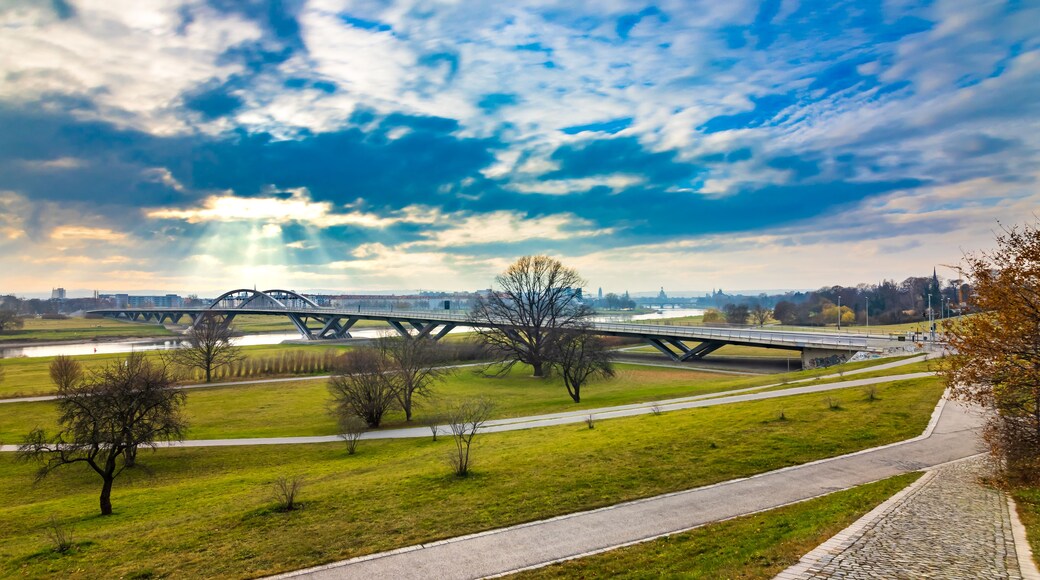Eine Brücke über einem Fluss, im Vordergrund ein Park und im Hintergrund eine Stadtansicht.