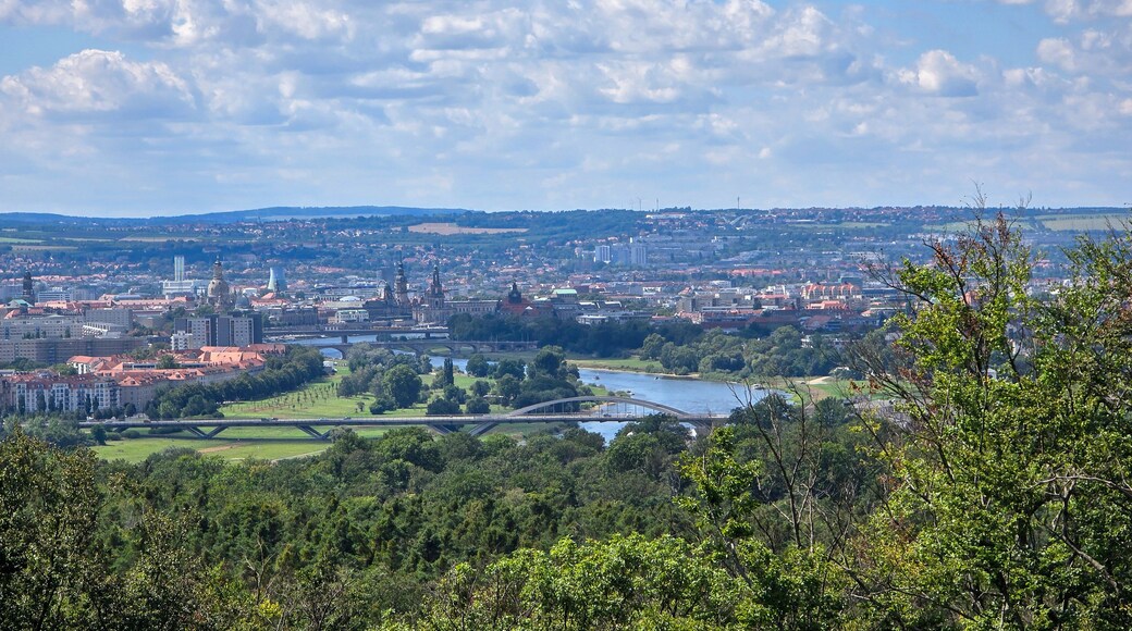 Schöner Panoramablick auf die Stadt Dresden im Sommer