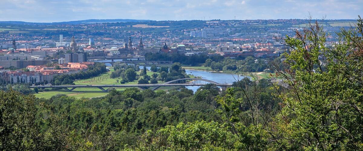 Schöner Panoramablick auf die Stadt Dresden im Sommer